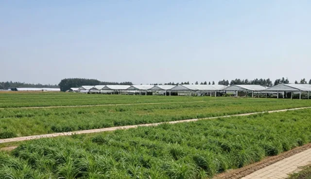 提升供需资源对接效率的实践与优化策略